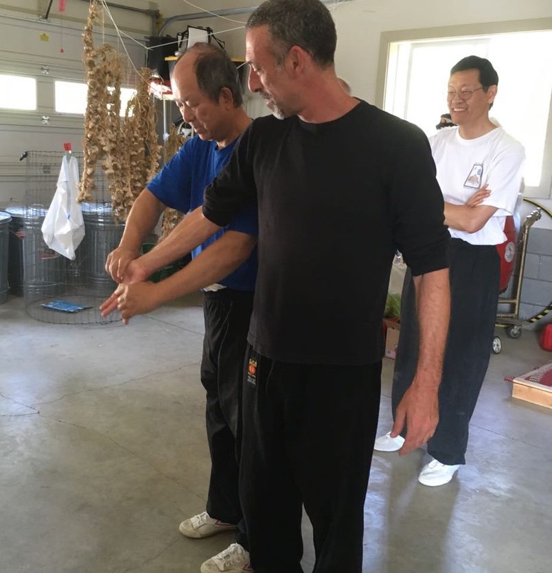 טאי צ'י קורסים להכשרת מדריכים