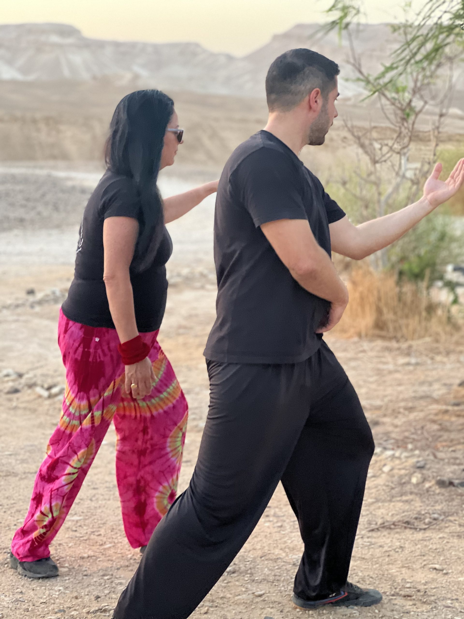 ודים דגלין צוות ההוראה מדיקל צ'י קונג ישראל צוות המדריכים צ'י קונג רפואי