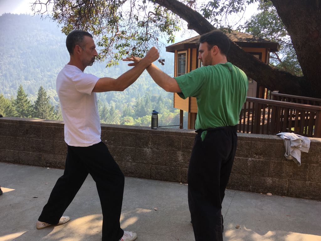 אומנות הפושינג הנדס