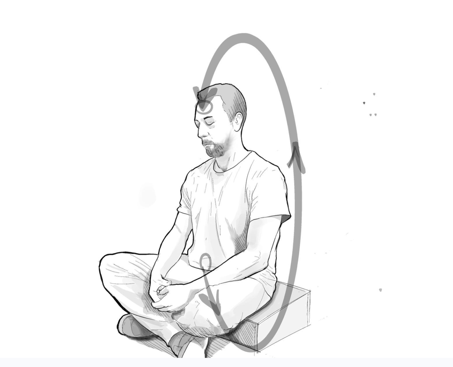 המעגל המיקרו-קוסמי